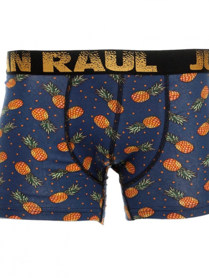 Boxer με σχέδιο ανανά