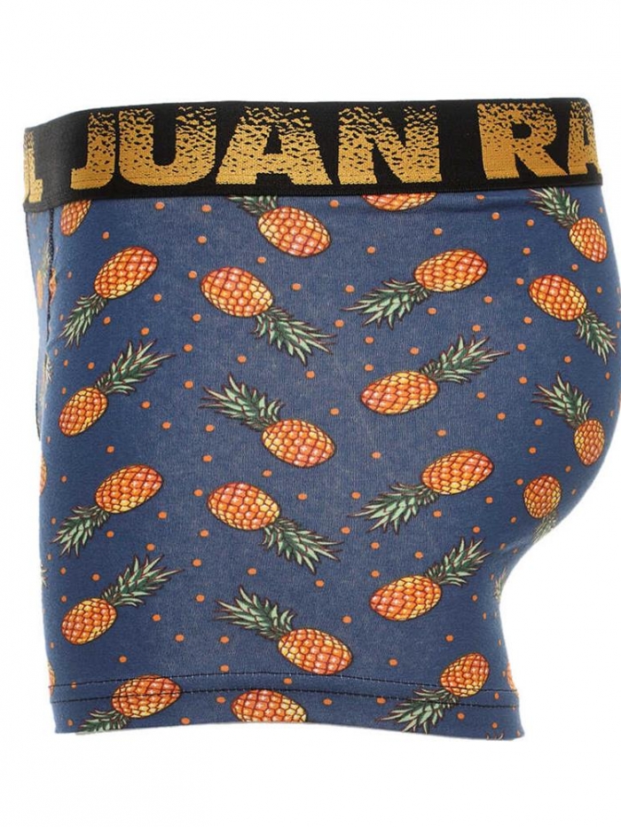 Boxer με σχέδιο ανανά