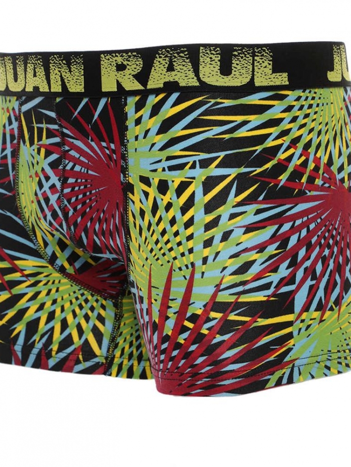 Boxer με σχέδιο πολύχρωμα φύλλα