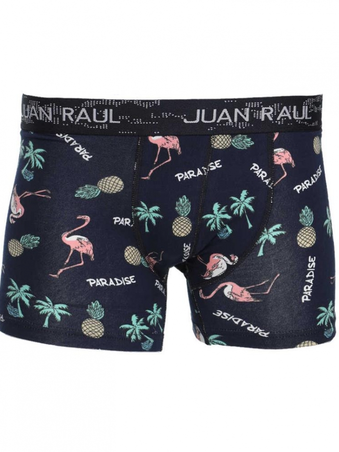 Boxer βαμβακερό με σχέδιο Φλαμίνγκο