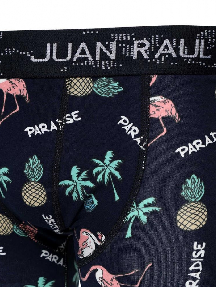 Boxer βαμβακερό με σχέδιο Φλαμίνγκο