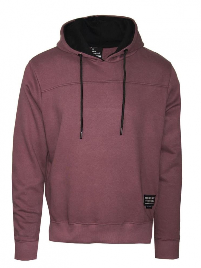 Μπλούζα φούτερ με κουκούλα Van Hipster.