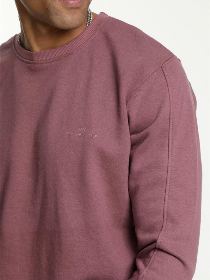 Μπλούζα φούτερ σε λαιμόκοψη Van Hipster.