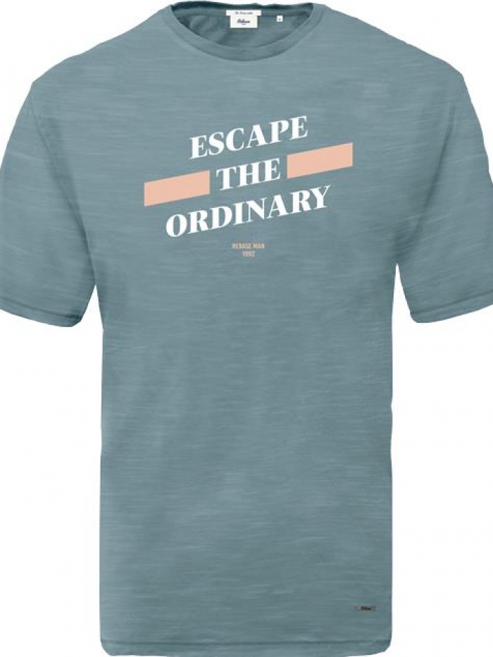 Μπλούζα κοντομάνικη φλάμμα με τύπωμα Rebase(3XL-6XL)