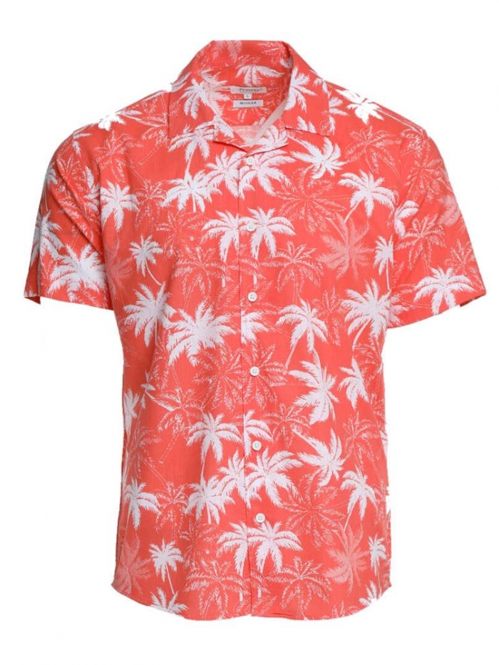 Πουκάμισο εμπριμέ regular fit