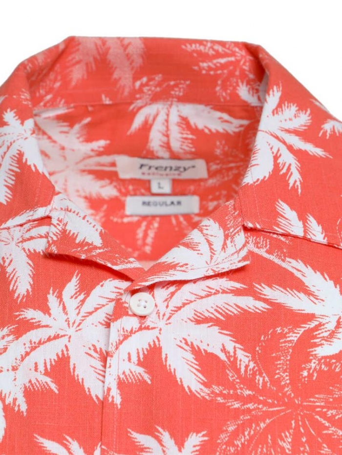 Πουκάμισο εμπριμέ regular fit