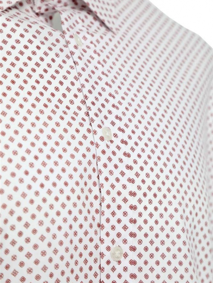 Πουκάμισο μακρυμάνικο με μικροσχέδια, regular fit.