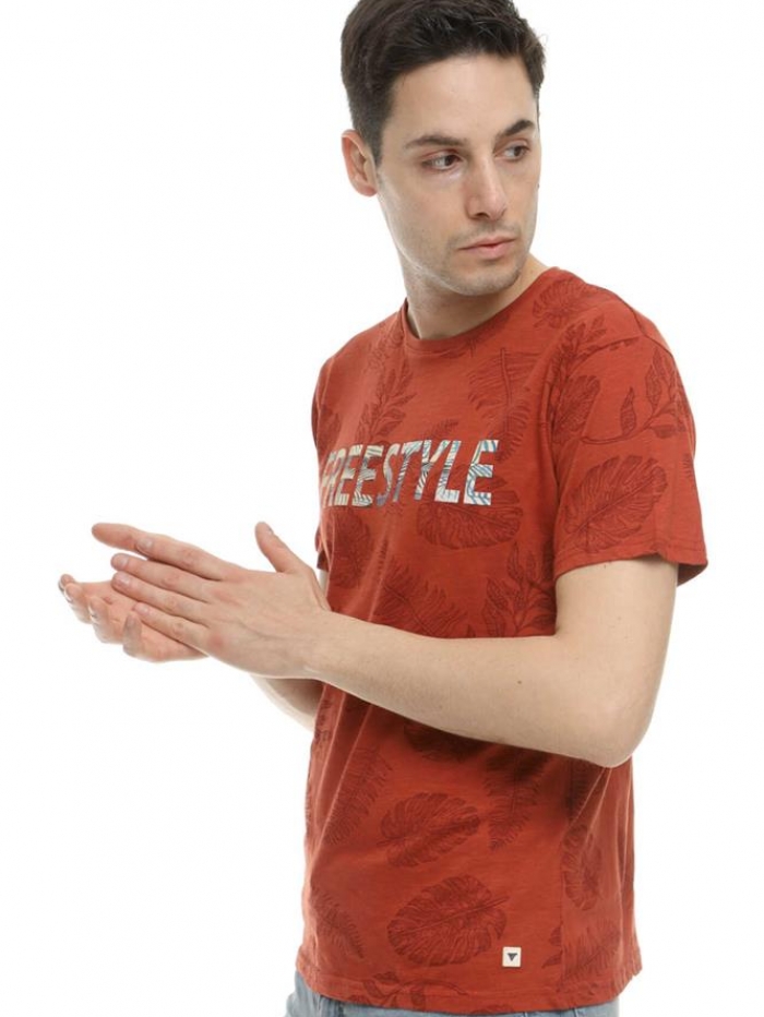 Τ-shirt 'Freestyle' Frank Tailor