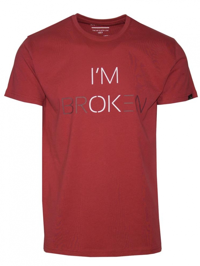 T-shirt με τύπωμα Van Hipster