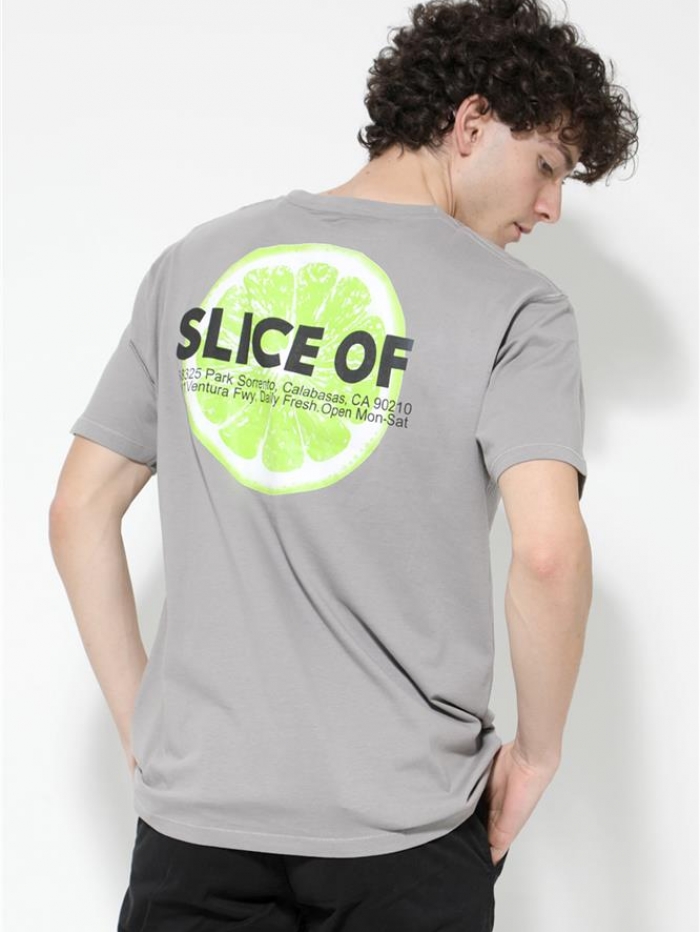 T-shirt oversize 'slice' Van Hipster