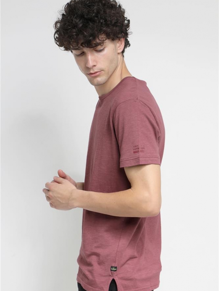 T-shirt σε βαμβακερή φλάμμα Van Hipster μονόχρωμη