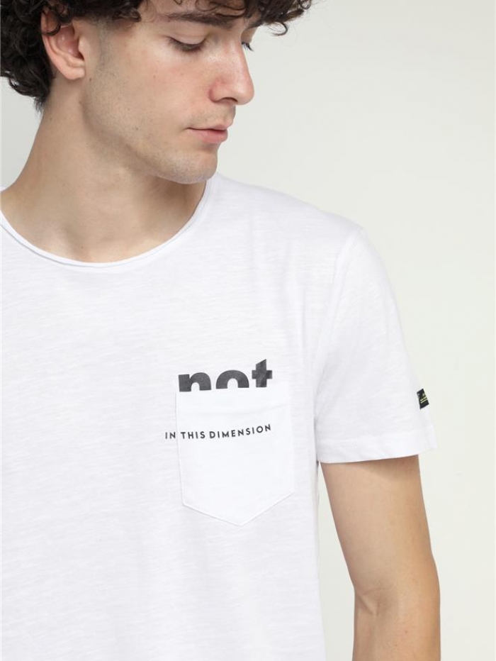 T-shirt σε βαμβακερή φλάμμα Van Hipster 'not'