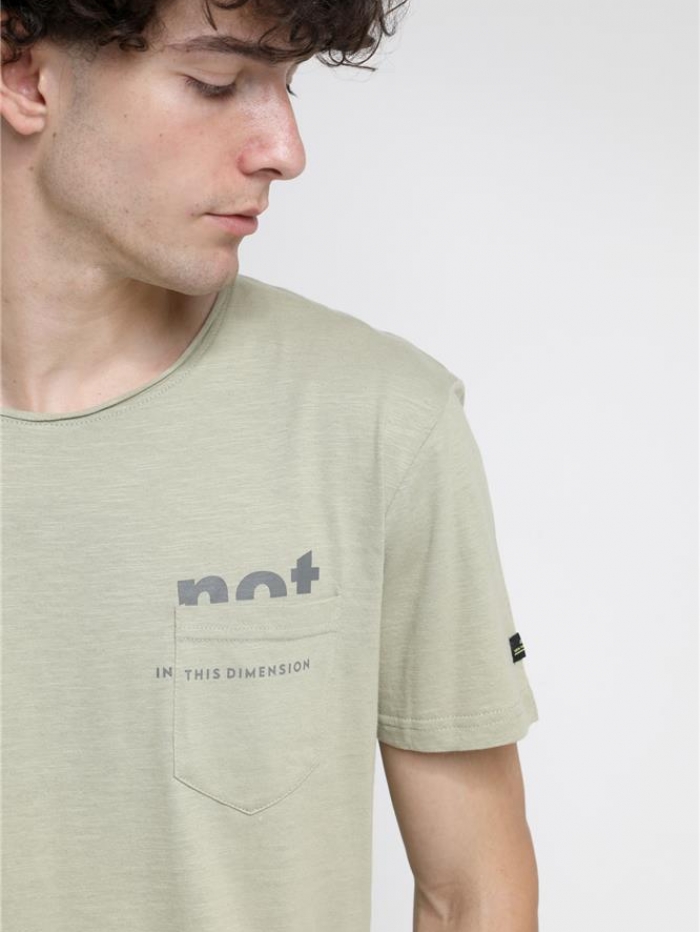 T-shirt σε βαμβακερή φλάμμα Van Hipster 'not'