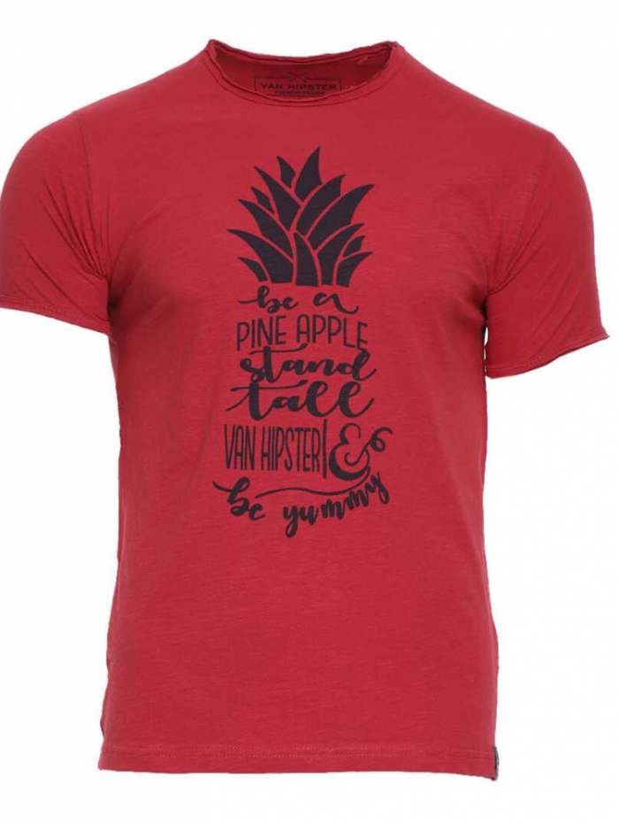 T-shirt βαμβακερή φλάμμα Van Hipster